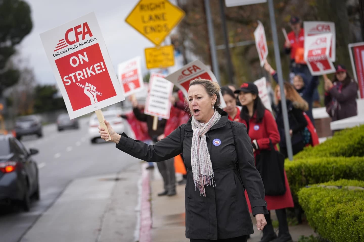 A professor pickets outside campus