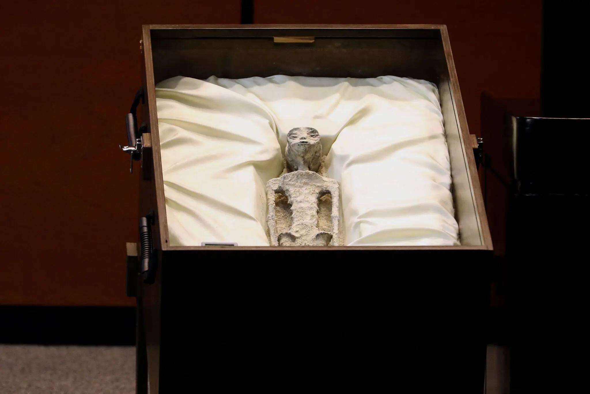 Specimens presented before Mexico’s Congress